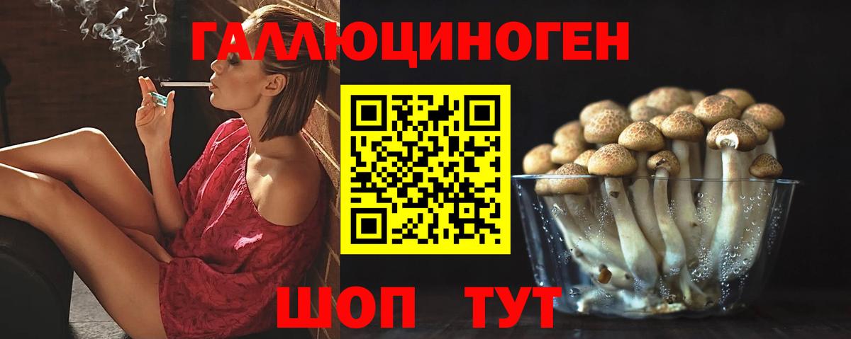 Псилоцибиновые грибы прущие грибы Санкт-Петербург